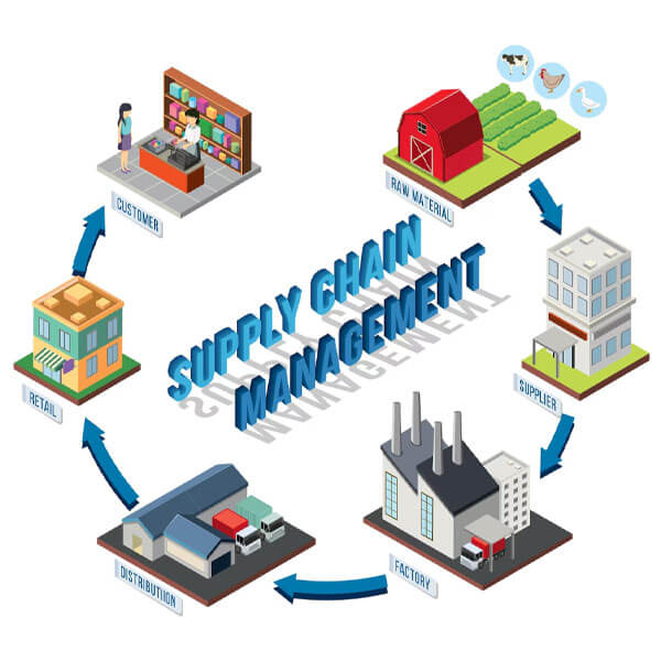 Cold Chain Logistics